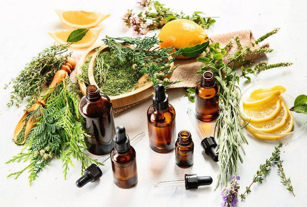 Best Essential Oils to Boost Your Immunity