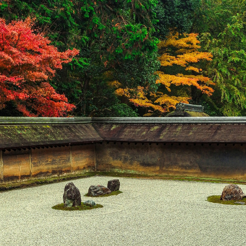 Zen Essence of Japan