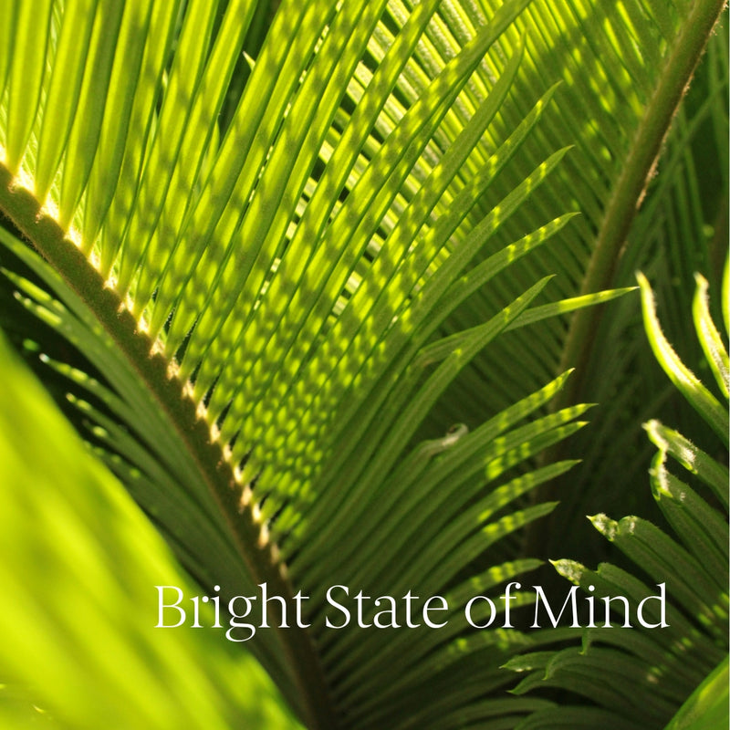 Bright State of Mind