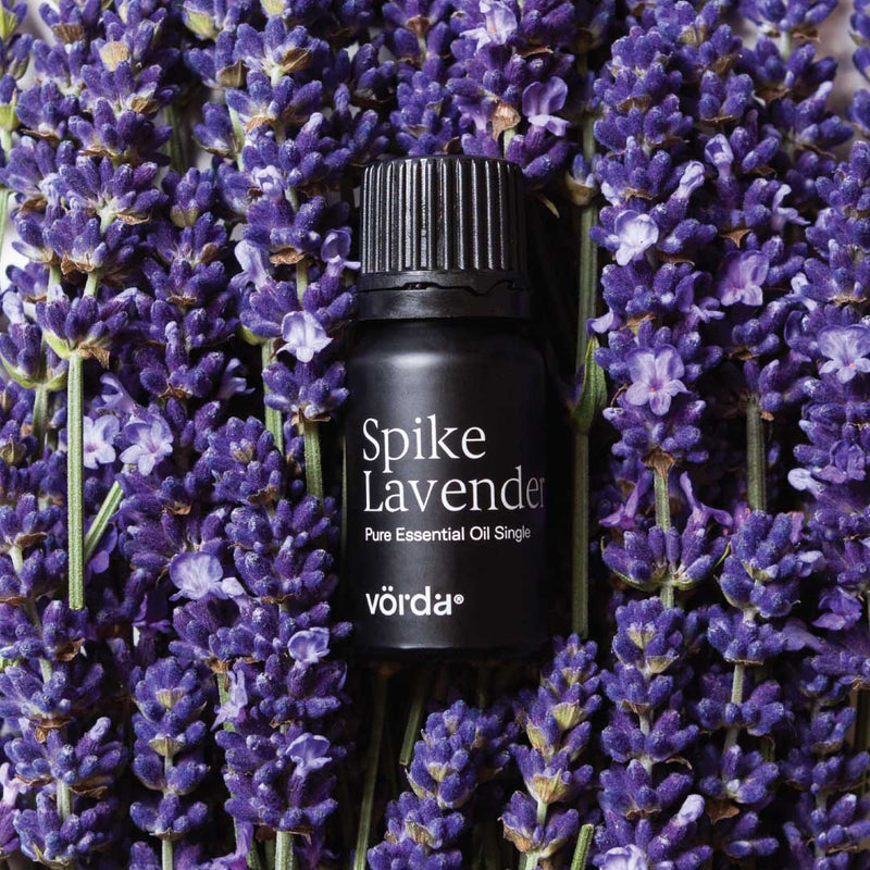 Spike Lavender Oil