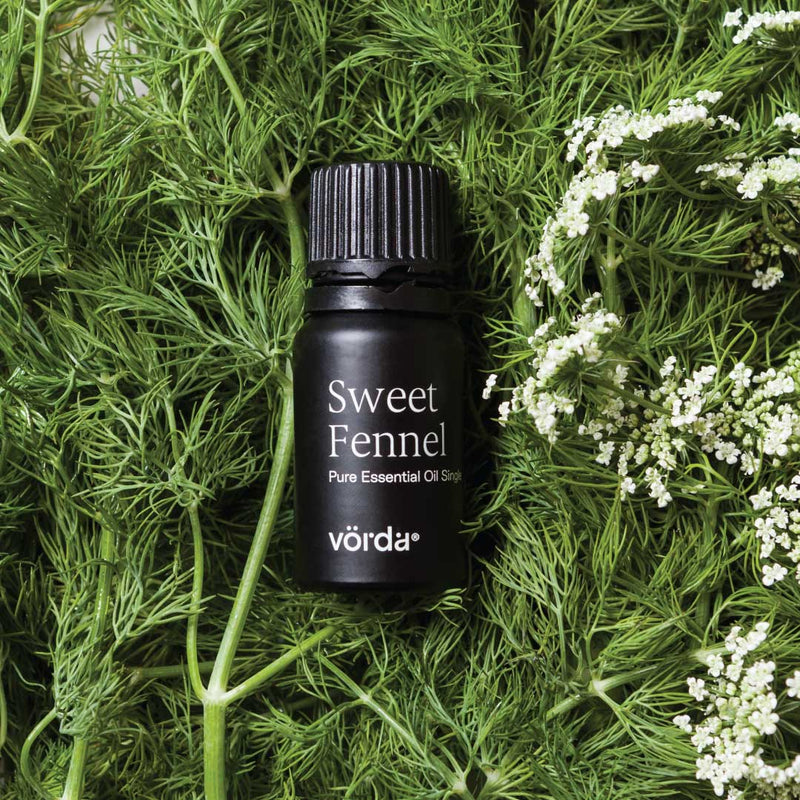 Sweet Fennel Oil